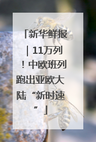 新华鲜报｜11万列！中欧班列跑出亚欧大陆“新时速”