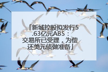 新城控股拟发行5.63亿元ABS：交易所已受理，为偿还美元债做准备