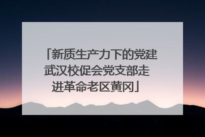 新质生产力下的党建 武汉校促会党支部走进革命老区黄冈