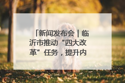 新闻发布会｜临沂市推动“四大改革”任务，提升内部审计监督效能