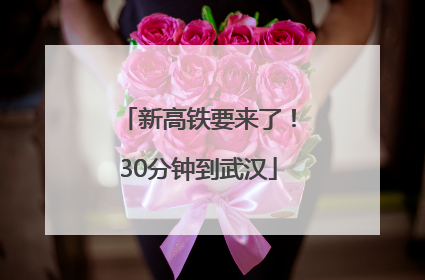 新高铁要来了！30分钟到武汉