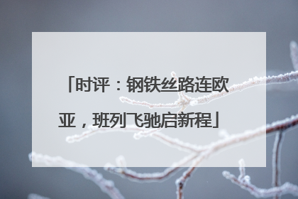 时评：钢铁丝路连欧亚，班列飞驰启新程