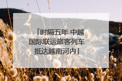 时隔五年 中越国际联运旅客列车抵达越南河内