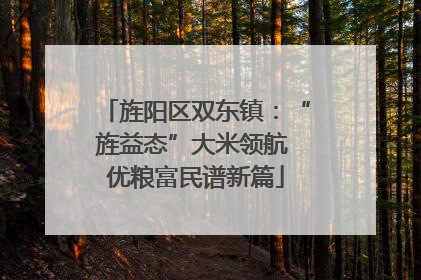 旌阳区双东镇：“旌益态”大米领航 优粮富民谱新篇