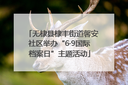 无棣县棣丰街道馨安社区举办“6·9国际档案日”主题活动