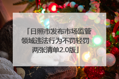 日照市发布市场监管领域违法行为不罚轻罚两张清单2.0版