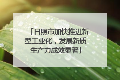 日照市加快推进新型工业化，发展新质生产力成效显著