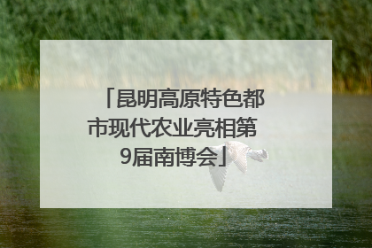 昆明高原特色都市现代农业亮相第9届南博会