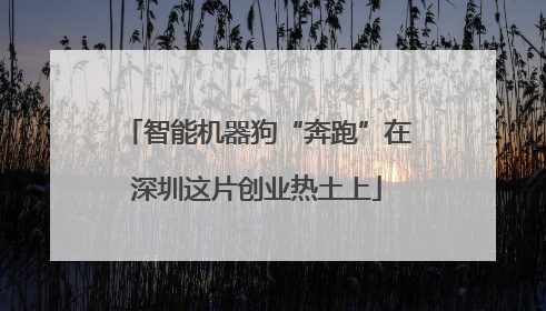 智能机器狗“奔跑”在深圳这片创业热土上