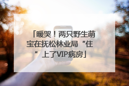 暖哭！两只野生萌宝在抚松林业局“住”上了VIP病房