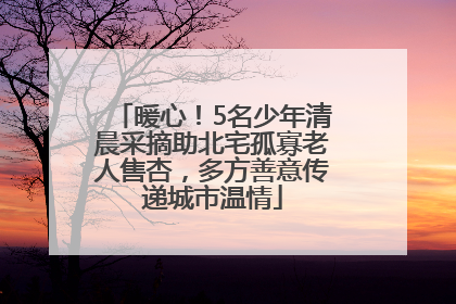 暖心！5名少年清晨采摘助北宅孤寡老人售杏，多方善意传递城市温情