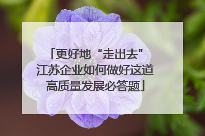 更好地“走出去” 江苏企业如何做好这道高质量发展必答题