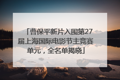 曹保平新片入围第27届上海国际电影节主竞赛单元，全名单揭晓