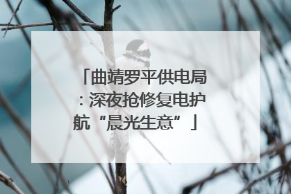 曲靖罗平供电局：深夜抢修复电护航“晨光生意”