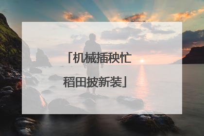 机械插秧忙 稻田披新装