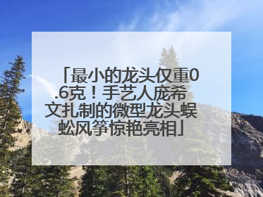最小的龙头仅重0.6克！手艺人庞希文扎制的微型龙头蜈蚣风筝惊艳亮相