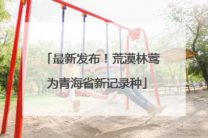 最新发布！荒漠林莺为青海省新记录种