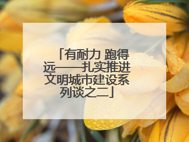 有耐力 跑得远——扎实推进文明城市建设系列谈之二