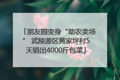 朋友圈变身“助农卖场” 武陵源区黄家坪村5天销出4000斤包菜