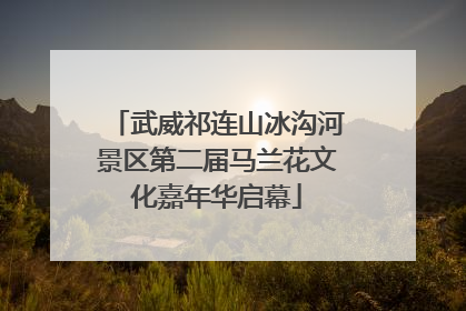 武威祁连山冰沟河景区第二届马兰花文化嘉年华启幕