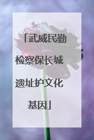 武威民勤检察保长城遗址护文化基因