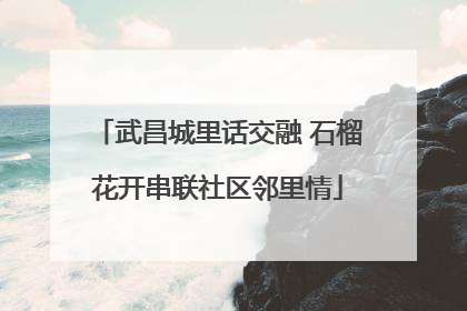 武昌城里话交融 石榴花开串联社区邻里情