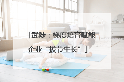 武陟：梯度培育赋能企业“拔节生长”