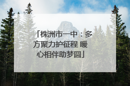 株洲市一中：多方聚力护征程 暖心相伴助梦圆