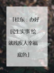 桂东：办好民生实事 绘就残疾人幸福底色