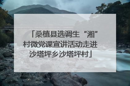 桑植县选调生“湘”村微党课宣讲活动走进沙塔坪乡沙塔坪村