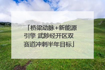 桥梁动脉+新能源引擎 武陟经开区双赛道冲刺半年目标
