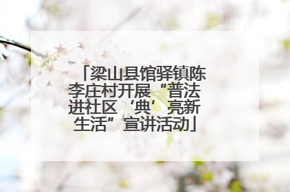 梁山县馆驿镇陈李庄村开展“普法进社区‘典’亮新生活”宣讲活动