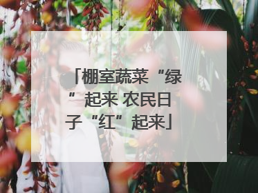 棚室蔬菜“绿”起来 农民日子“红”起来