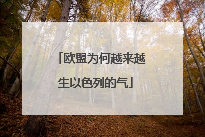 欧盟为何越来越生以色列的气