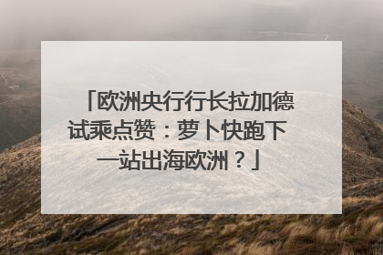 欧洲央行行长拉加德试乘点赞：萝卜快跑下一站出海欧洲？
