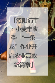 濮阳清丰：小麦丰收季 “一条龙”作业开启农业高效新篇章
