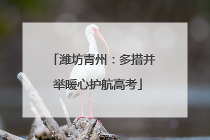 潍坊青州：多措并举暖心护航高考