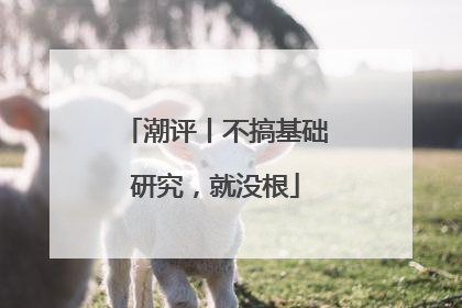 潮评丨不搞基础研究，就没根