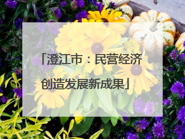 澄江市：民营经济创造发展新成果