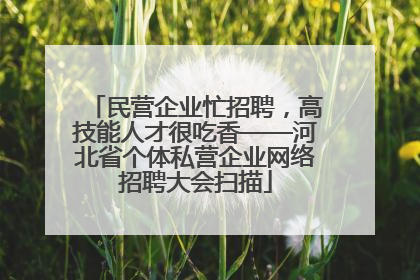 民营企业忙招聘，高技能人才很吃香——河北省个体私营企业网络招聘大会扫描