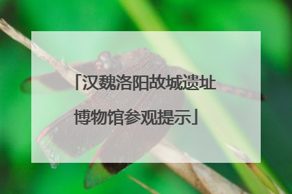 汉魏洛阳故城遗址博物馆参观提示