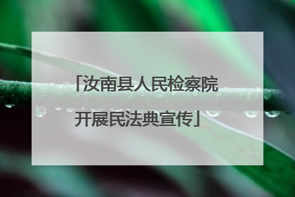 汝南县人民检察院开展民法典宣传
