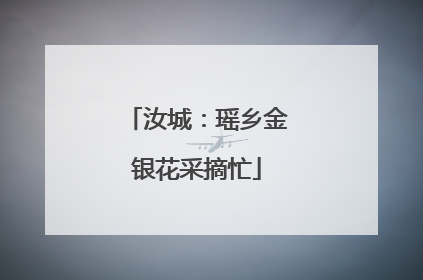 汝城：瑶乡金银花采摘忙