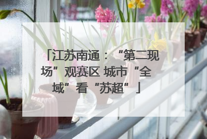 江苏南通：“第二现场”观赛区 城市“全域”看“苏超”