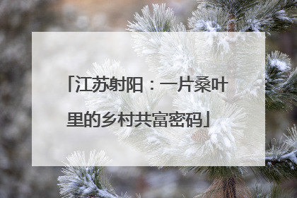 江苏射阳：一片桑叶里的乡村共富密码