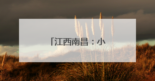 江西南昌：小菌菇撑起乡村振兴“致富伞”