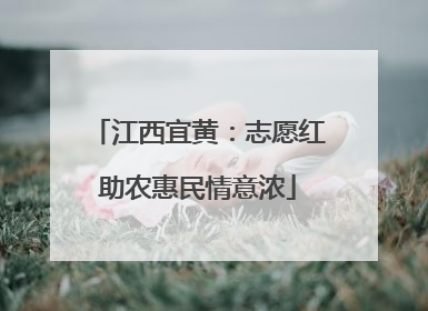 江西宜黄：志愿红助农惠民情意浓