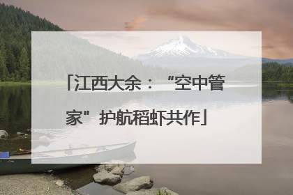 江西大余：“空中管家”护航稻虾共作