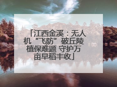 江西金溪：无人机“飞防”破丘陵植保难题 守护万亩早稻丰收