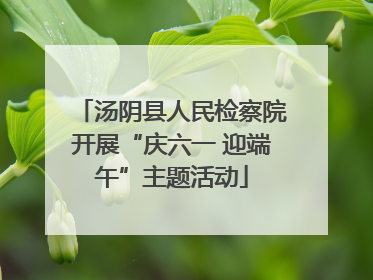 汤阴县人民检察院开展“庆六一 迎端午”主题活动